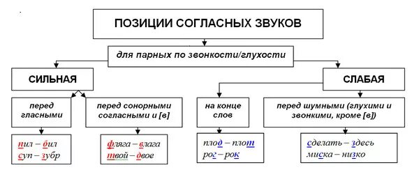 Быть в сильной позиции. Сильные и слабые позиции гласных и согласных звуков. Сильные и слабые позиции гласных звуков. Сильные позиции согласных. Сильная и слабая позиция гласных и согласных звуков 5 класс.