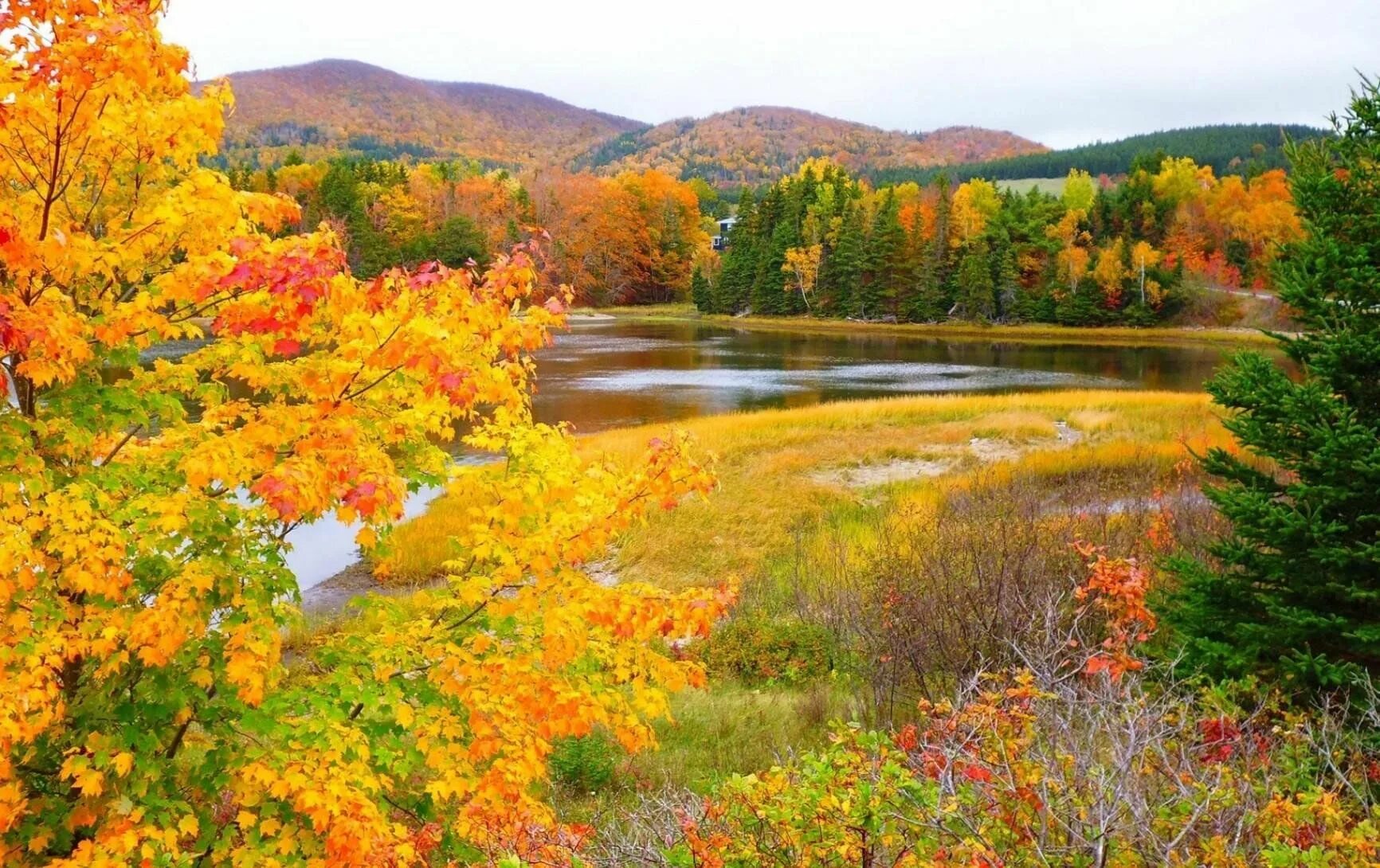 Времена года 5 октября. Осенняя природа. Природа осень. Сентябрь природа. Золотая осень.
