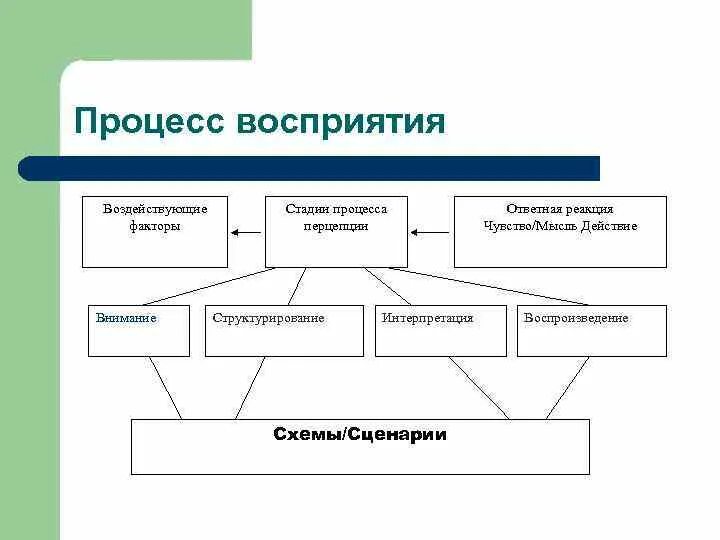 Основные факторы внимания. Этапы восприятия в психологии. Стадии процессов восприятия интерпретация. Фактор влияюшая на восприятия. Последовательность этапов процесса восприятия.