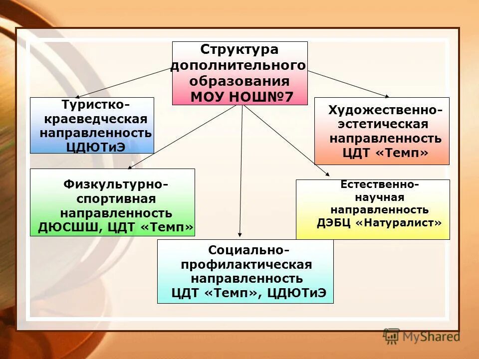 Структура дополнительного образовательного учреждения