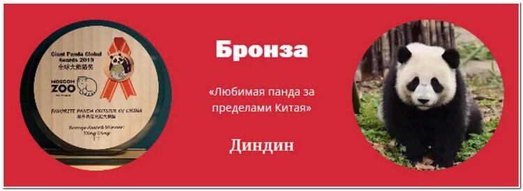 Карта Московского зоопарка панды. Москва зоопарк панды на схеме. Где Панда в Московском зоопарке. Схема Московского зоопарка панды. Где панды в московском зоопарке