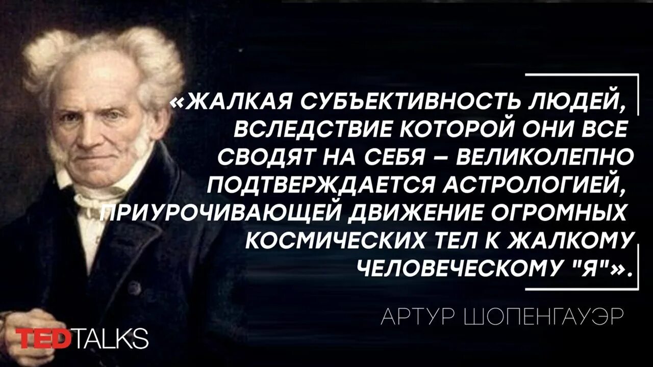 Шопенгауэр читать афоризмы. Шопенгауэр афоризмы о женщинах. шопенгауэр афоризмы.