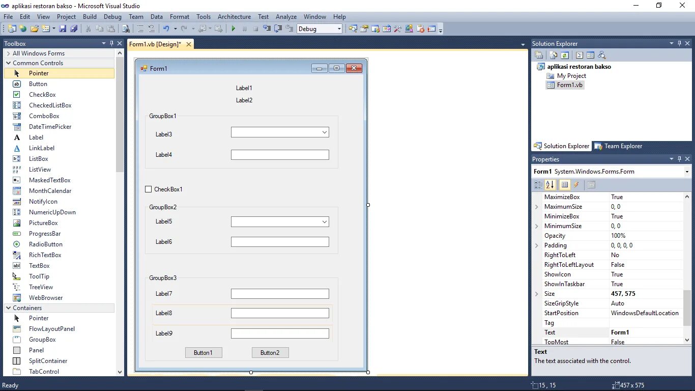 Forms project. Флажки в windows forms. windows forms дизайн. windows forms panel. дизайн для форм windows forms.