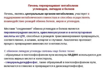 Связь обмена углеводов липидов и белков