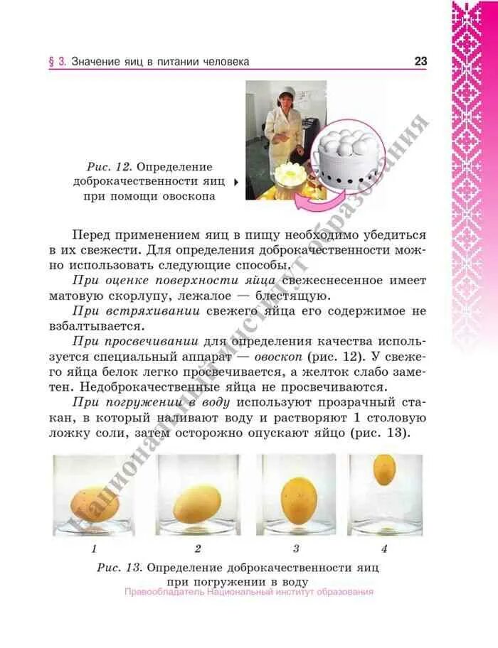 Яйца питание люди. Информация о куриных яйцах. Использование яиц в кулинарии. Значение яиц в питании человека 5 класс. Значение яиц в питании человека.