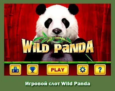 Wild pandas