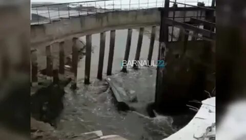 В прорыве дамбы виноваты грызуны