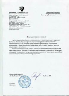 Организация в лице директора