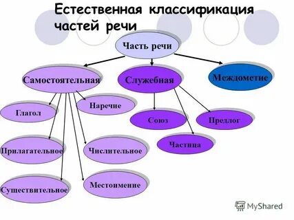 Естественная система классификации