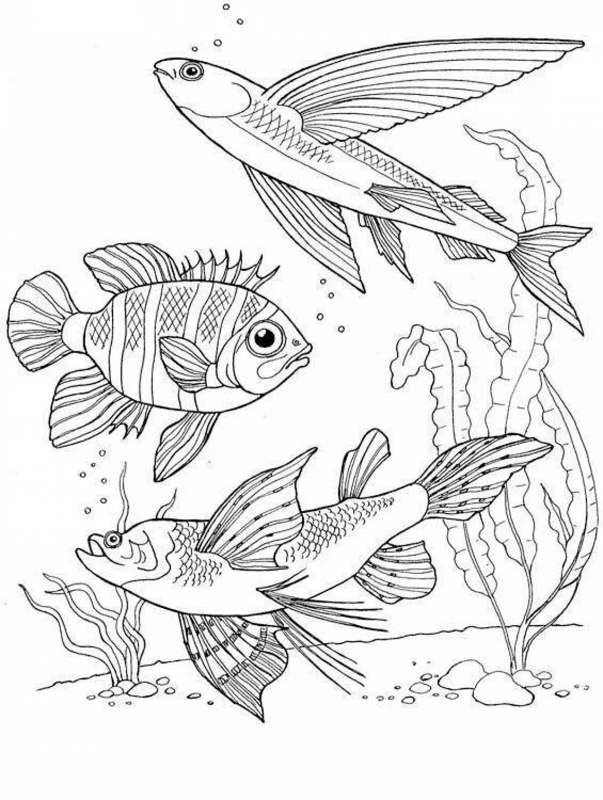 Раскраска рыбы для детей 6 лет. Аквариумные рыбки раскраска. Рыба раскраска. Раскраска рыбка. Аквариумные рыбки раскраска для детей.