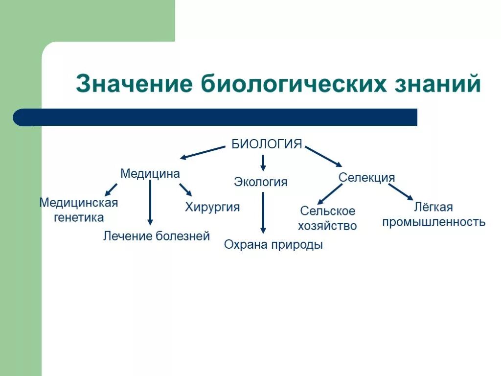 Схема значения биологических знаний. Значение биологических знаний в жизни человека. Схема биологические знания в жизни человека. Биологические знания в жизни человека 5 класс схема. Конспект по теме значение биологии