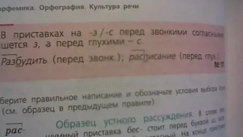 Как пишется сдал или здал деньги
