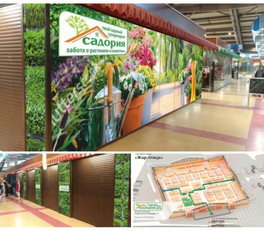 Садория балахна. Садория каталог. Садория каталог. Садория лысково. Садория выкса.