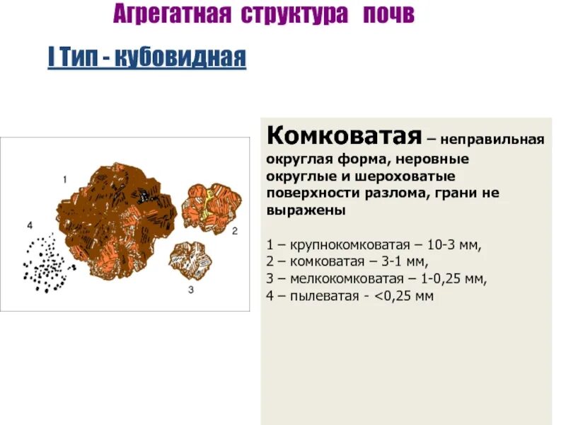 Схема структуры почвы. Структура почвы. комковатая структура почвы. структурно-агрегатный состав почвы. агрегатный состав почвы.
