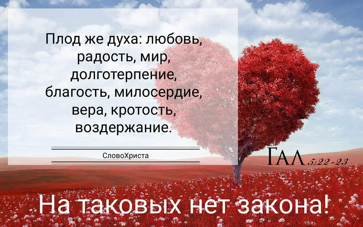Плод духа любовь радость мир долготерпение. Плоды духа. Плод духа любовь радость мир. Плод духа любовь радость мир долготерпение. Плод же духа любовь радость.