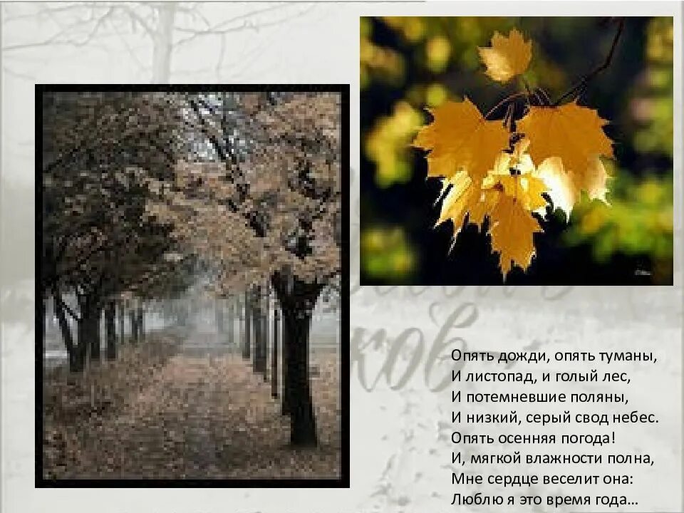 Опять дожди текст. Опять дожди опять туманы и листопад. Стихи про дождь короткие красивые. Опять дожди текст. В деревне гаюина лпяь дожди.