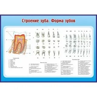 21 строение