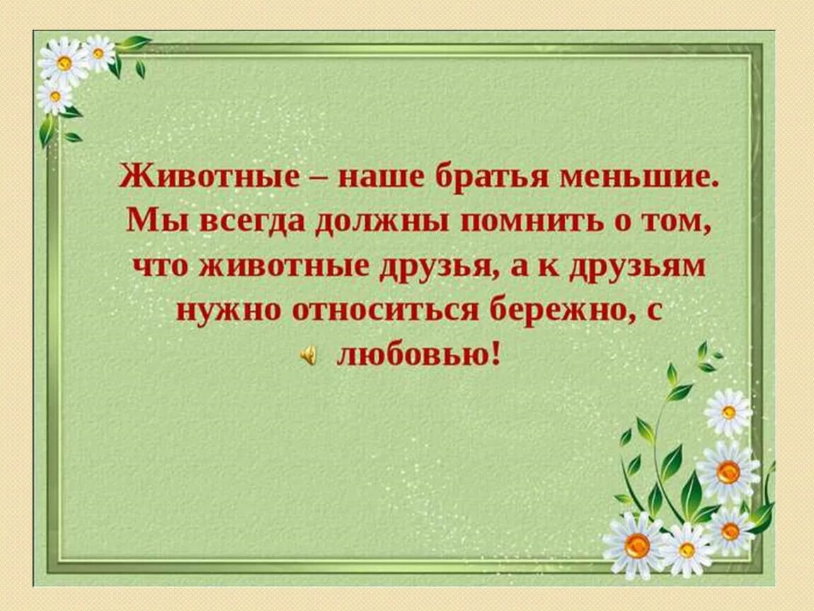 Афоризмы о домашних животных. Стихи о братьях наших меньших. Цитаты о животных для детей. Высказывания о домашних животных для детей.