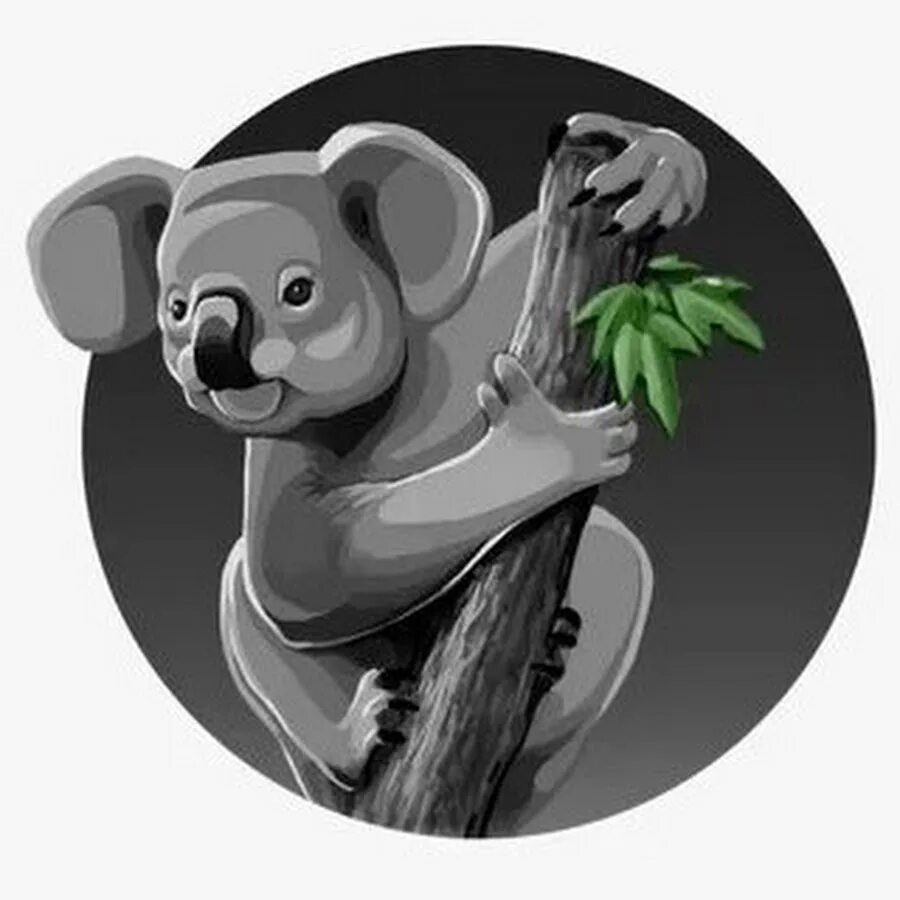Что символизирует коала. Коала. эмблема коала. крутая коала. куала арт.