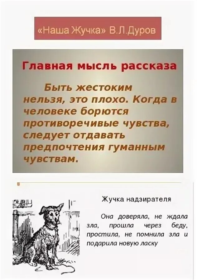 Рассказ дурова наша жучка. Рассказ наша жучка. Наша жучка рассказ Дуров. Рассказ Дурова жучка. План рассказа наша жучка.