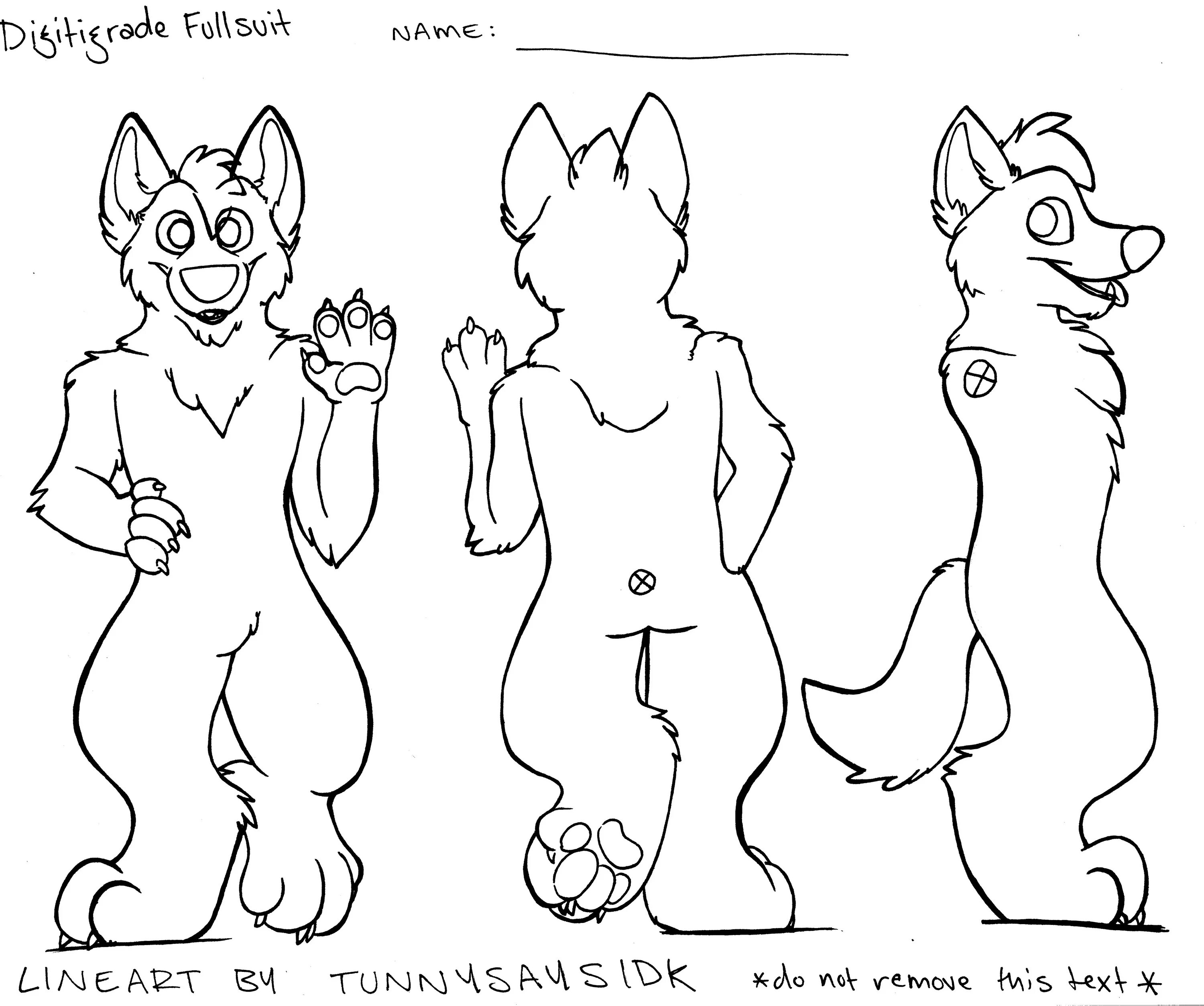 шаблон референса. референсы кошек для рисования. коты воители референс лайн. референсы коты воители лайн. кот референс.