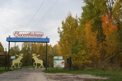 Заповедное томск