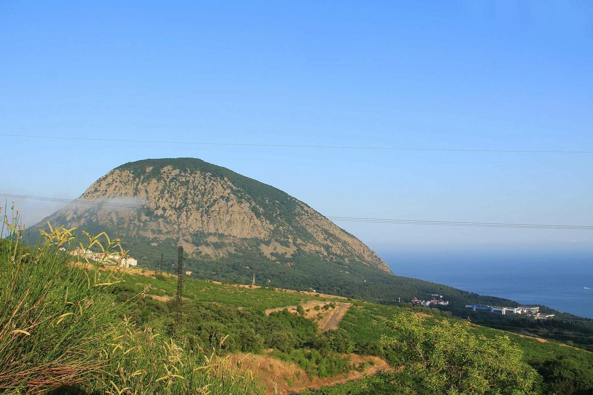 Гора над артеком. Гора медведь в Крыму. Аюдаг гора медведь. Крым Аю-Даг медведь-гора. Ялта медведь гора.