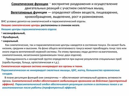 Соматические функции