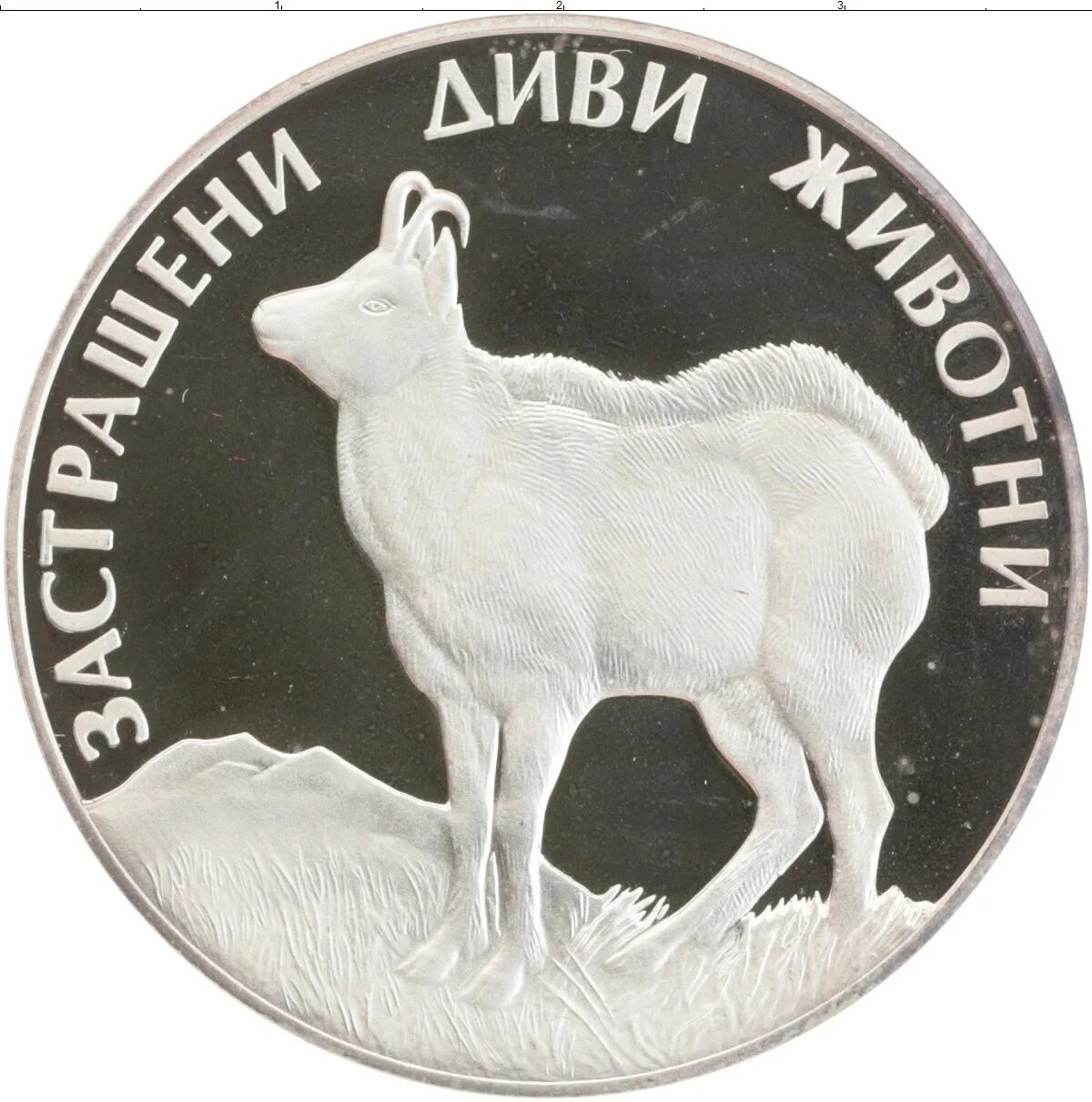 Лев 1993. 100 Левов Болгария. Монета 1 Лев 1993 Болгария. 100 Лев. Монета панчикопей серебряная со львом.