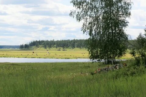 Алас