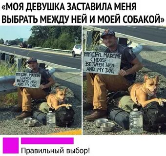 Яплакал события
