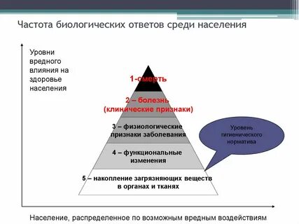 Уровни инфекции