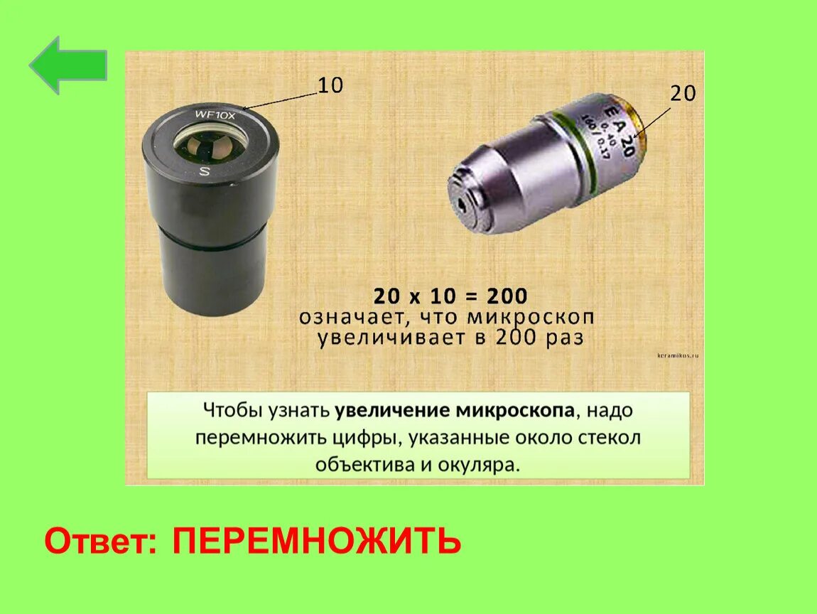 Окуляр микроскопа 10х 23мм. Увеличение микроскопа окуляр 10 объектив 60. Как определить кратность микроскопа. Как определить увеличение микроскопа. Как узнать увеличение объектива