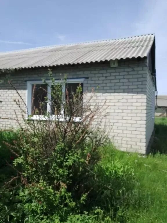 Новая красавка. Красавка саратовская область. Мбоу сош саратовская область с. Погода в новой красавке лысогорского. Новая красавка саратовская область.