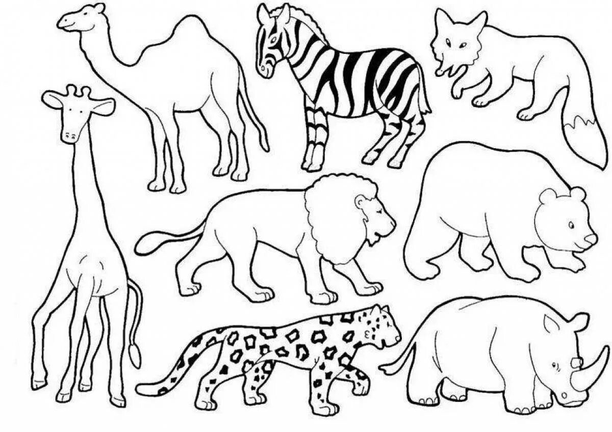 Раскраска группы животных. Раскраски животные для детей. Дикие животные раскраска для детей. Раскраска животных для малышей. Трафареты животных для детей.