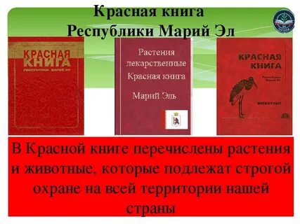 Красная республика