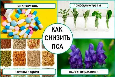 Как снизить уровень пса