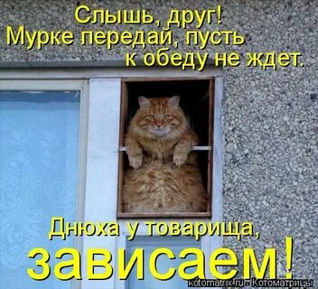 Не слышно друга в