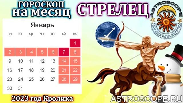 Гороскоп с 13 по 19 ноября 2023