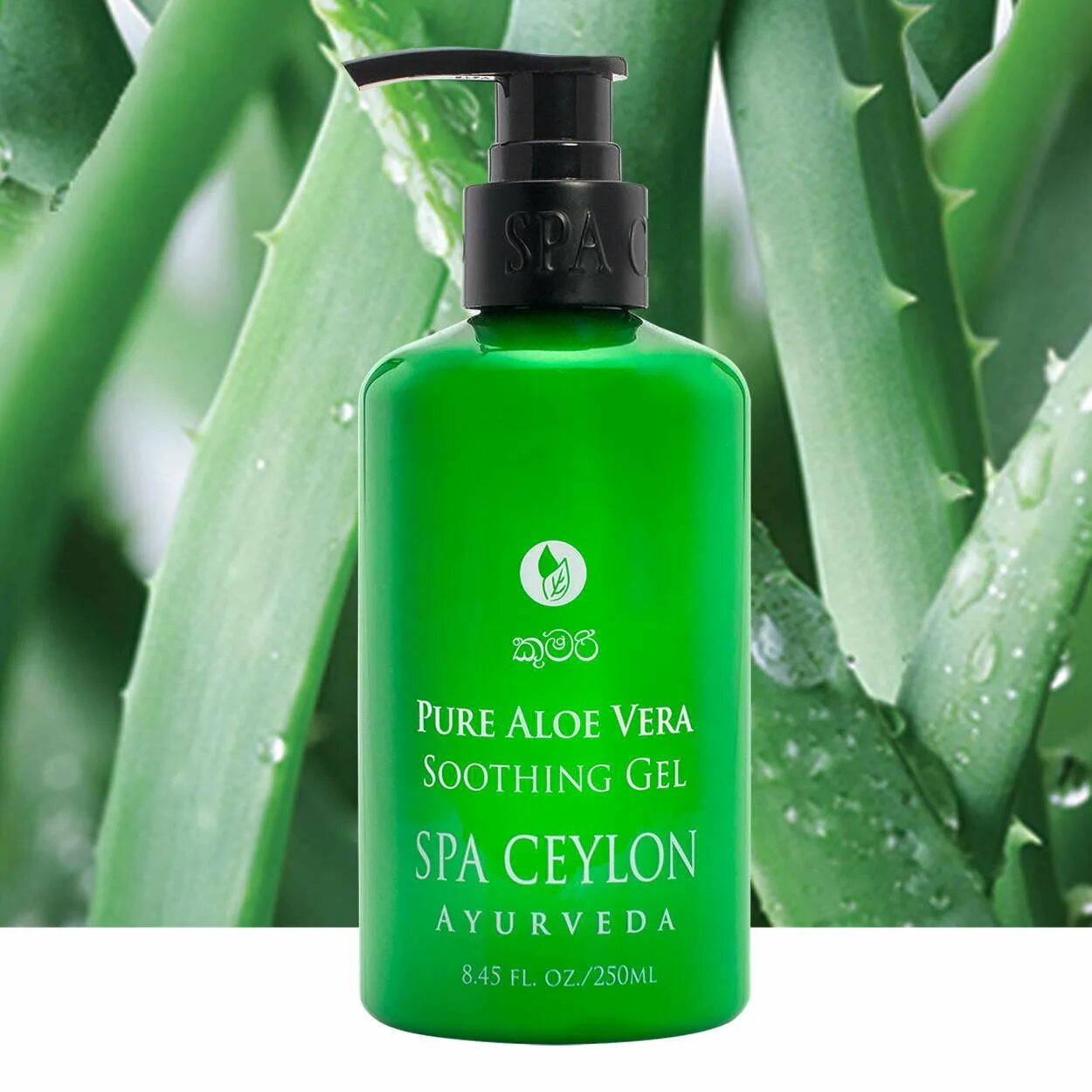 Ceylon spa luxury ayurveda. Spa ceylon. Spa ceylon скраб для тела дерево калумба. Spa ceylon косметика. Spa ceylon скраб для тела чувственный сандал.