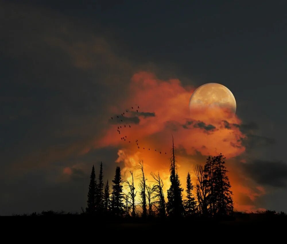 Восход луны и будущее пламя. Пейзаж с луной. Восход Луны над лесом. Огненная Луна. Зарево над лесом.