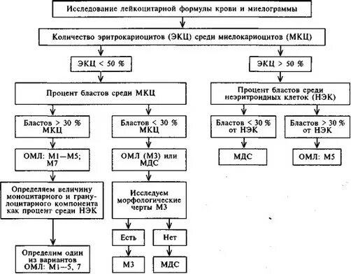 Острый лейкоз тест с ответами. Графологическая структура острые лейкозы. Схема лечения при остром миелобластном лейкозе. Алгоритм диагностики острых лейкозов. Алгоритм определения острого лимфолейкоза.