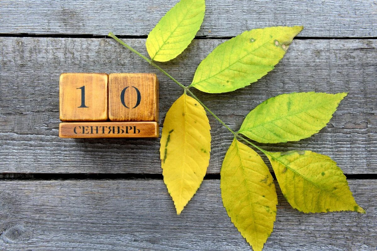10 сентября всемирный день. 25 сентября праздник. Сентябрь десятый день. Сентябрь десятый день. Сентябрь десятый день.