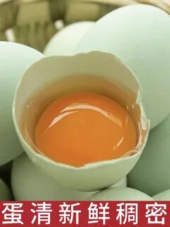 40 яиц