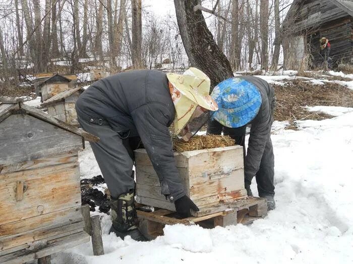 Когда выносить пчел