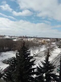 Черниковы луганск