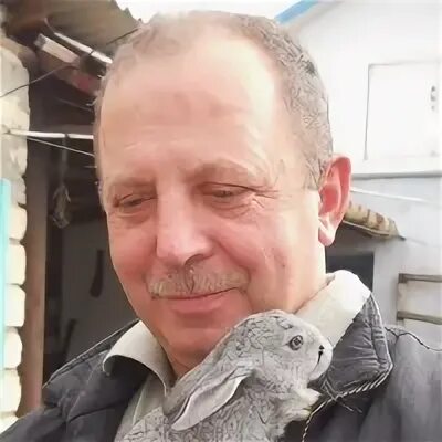 Герард подаревский. Герард подаревский