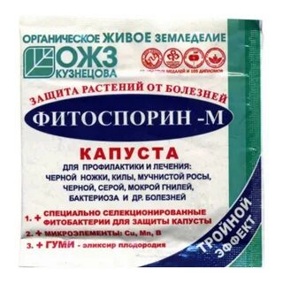 Порошок огурцов