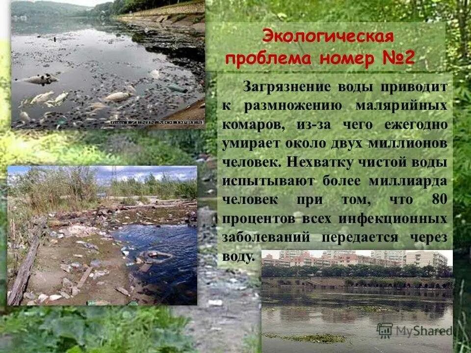 Подготовить короткое сообщение об экологическом состоянии улицы
