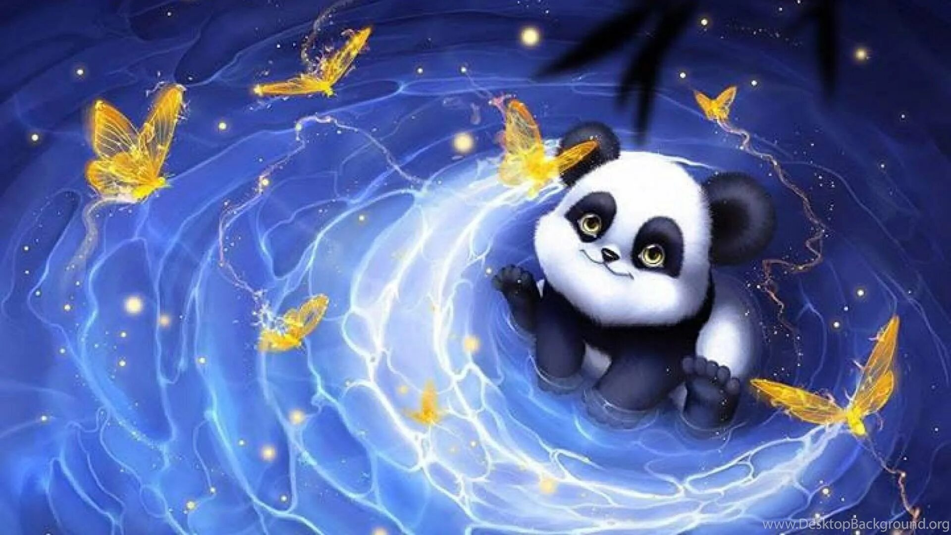 Night pandas